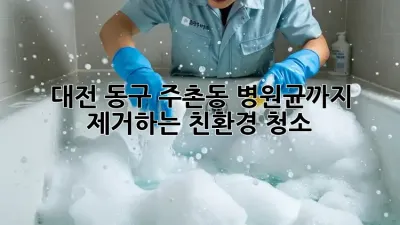 대전 동구 주촌동 병원균까지 제거하는 친환경 청소